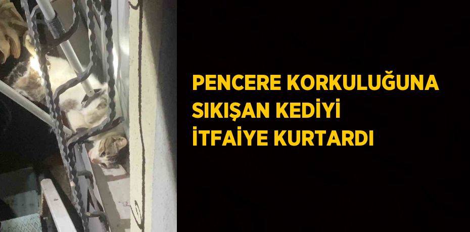 PENCERE KORKULUĞUNA SIKIŞAN KEDİYİ İTFAİYE KURTARDI