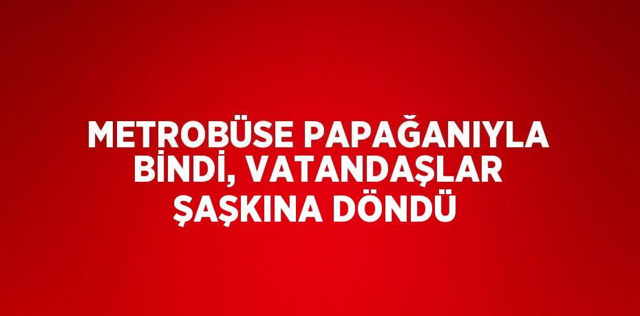 METROBÜSE PAPAĞANIYLA BİNDİ, VATANDAŞLAR ŞAŞKINA DÖNDÜ