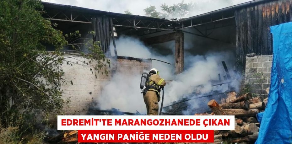 EDREMİT’TE MARANGOZHANEDE ÇIKAN YANGIN PANİĞE NEDEN OLDU