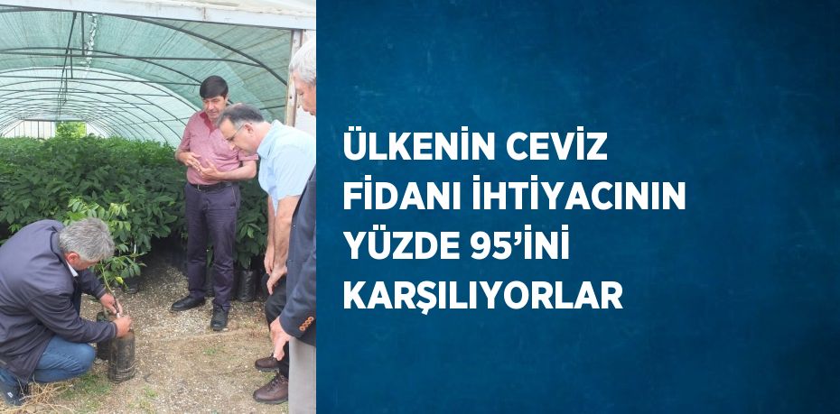 ÜLKENİN CEVİZ FİDANI İHTİYACININ YÜZDE 95’İNİ KARŞILIYORLAR