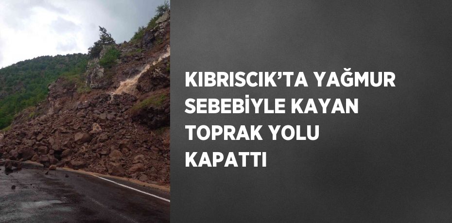 KIBRISCIK’TA YAĞMUR SEBEBİYLE KAYAN TOPRAK YOLU KAPATTI