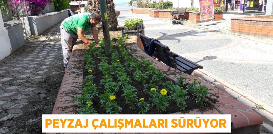 Peyzaj çalışmaları sürüyor