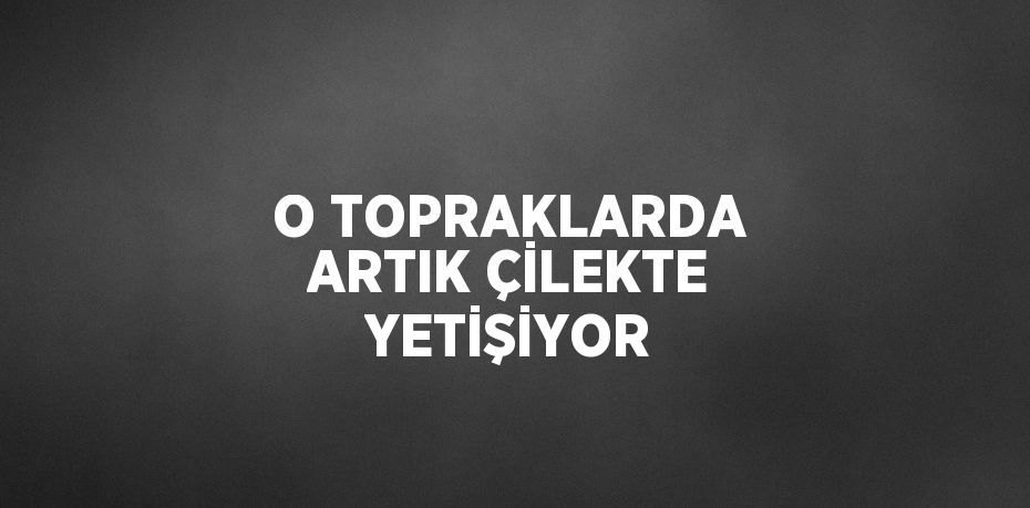 O TOPRAKLARDA ARTIK ÇİLEKTE YETİŞİYOR