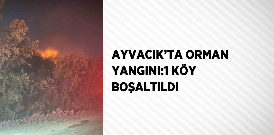 AYVACIK’TA ORMAN YANGINI:1 KÖY BOŞALTILDI