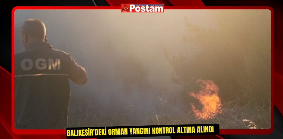 Balıkesir'deki orman yangını kontrol altına alındı   