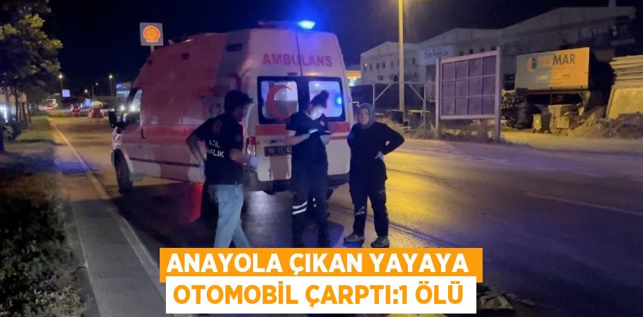 ANAYOLA ÇIKAN YAYAYA OTOMOBİL ÇARPTI:1 ÖLÜ