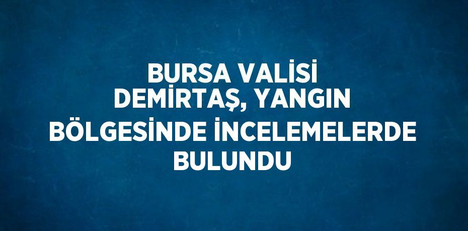 BURSA VALİSİ DEMİRTAŞ, YANGIN BÖLGESİNDE İNCELEMELERDE BULUNDU