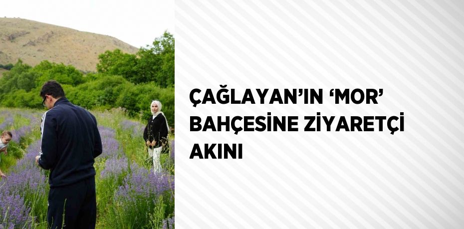 ÇAĞLAYAN’IN ‘MOR’ BAHÇESİNE ZİYARETÇİ AKINI