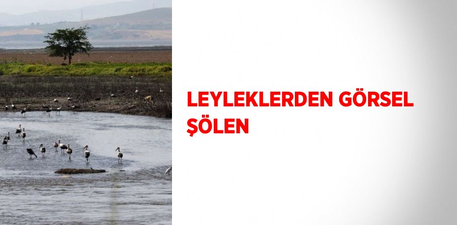 LEYLEKLERDEN GÖRSEL ŞÖLEN