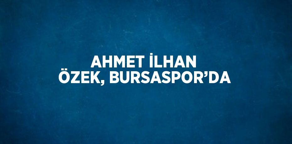 AHMET İLHAN ÖZEK, BURSASPOR’DA