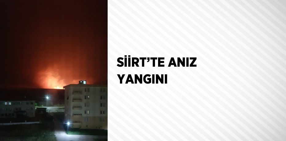 SİİRT’TE ANIZ YANGINI