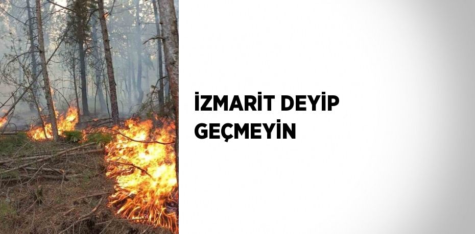 İZMARİT DEYİP GEÇMEYİN