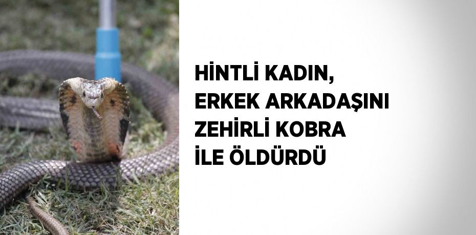 HİNTLİ KADIN, ERKEK ARKADAŞINI ZEHİRLİ KOBRA İLE ÖLDÜRDÜ