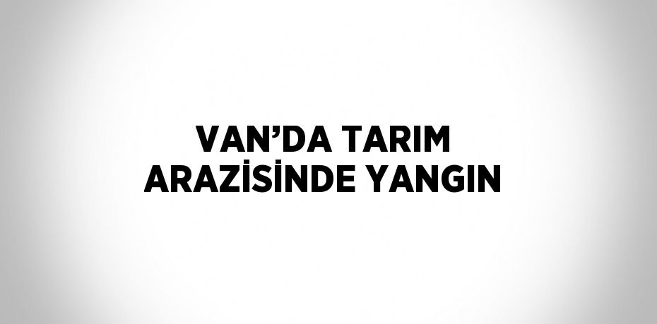 VAN’DA TARIM ARAZİSİNDE YANGIN