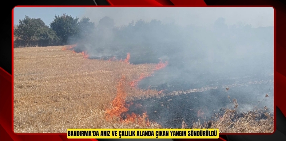 Bandırma'da anız ve çalılık alanda çıkan yangın söndürüldü  