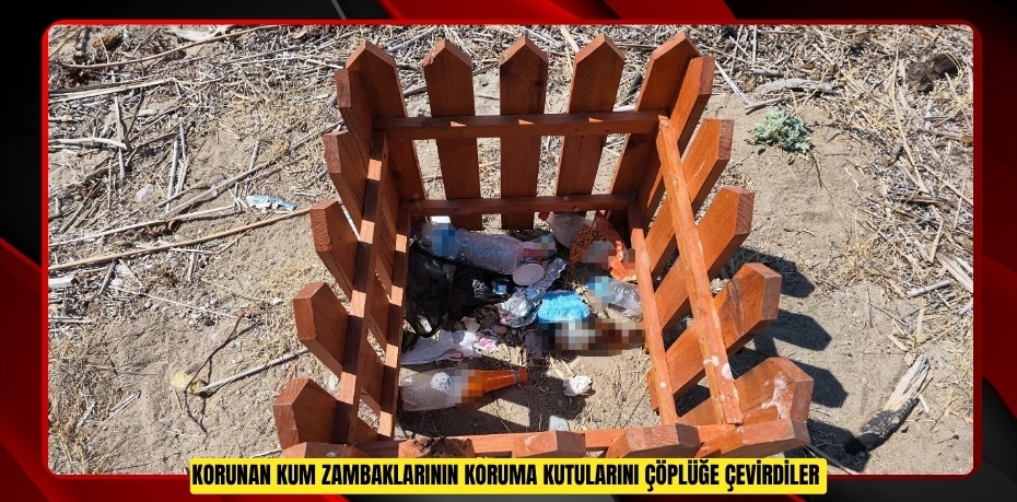 Korunan kum zambaklarının koruma kutularını çöplüğe çevirdiler  