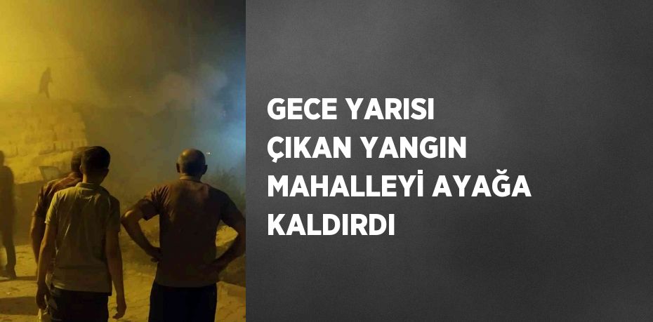 GECE YARISI ÇIKAN YANGIN MAHALLEYİ AYAĞA KALDIRDI