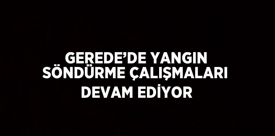 GEREDE’DE YANGIN SÖNDÜRME ÇALIŞMALARI DEVAM EDİYOR