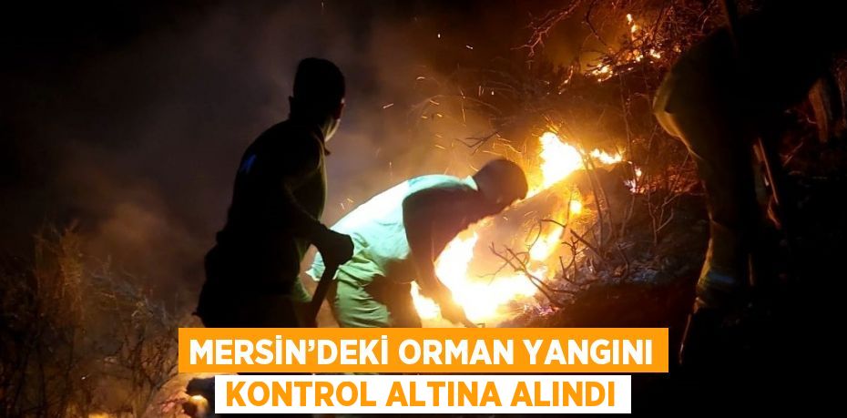 MERSİN’DEKİ ORMAN YANGINI KONTROL ALTINA ALINDI