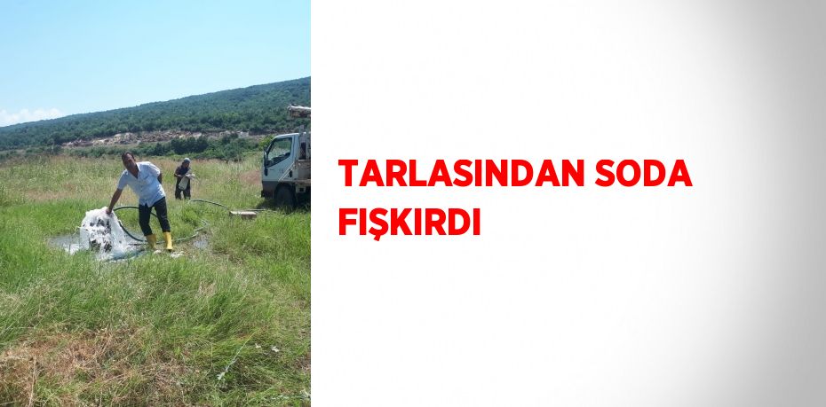 TARLASINDAN SODA FIŞKIRDI