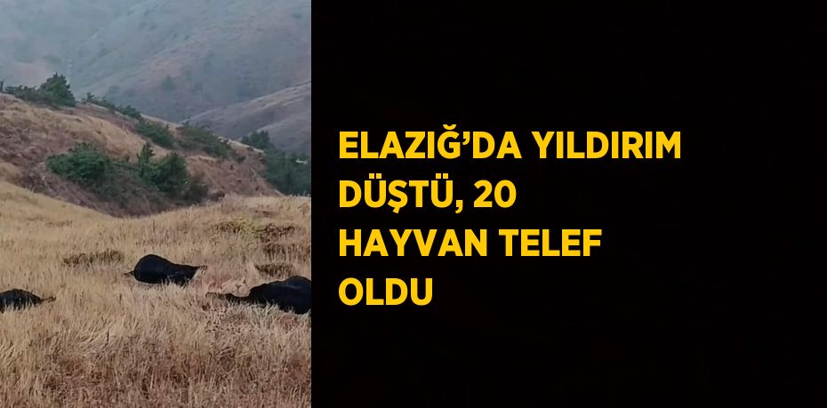 ELAZIĞ’DA YILDIRIM DÜŞTÜ, 20 HAYVAN TELEF OLDU