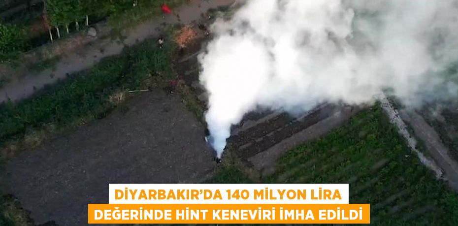 DİYARBAKIR’DA 140 MİLYON LİRA DEĞERİNDE HİNT KENEVİRİ İMHA EDİLDİ