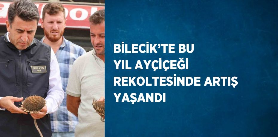 BİLECİK’TE BU YIL AYÇİÇEĞİ REKOLTESİNDE ARTIŞ YAŞANDI