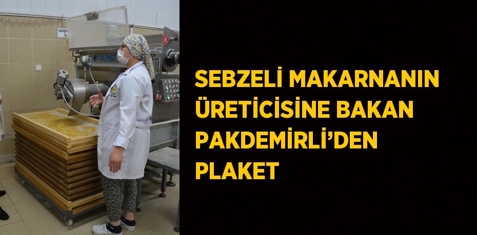 SEBZELİ MAKARNANIN ÜRETİCİSİNE BAKAN PAKDEMİRLİ’DEN PLAKET