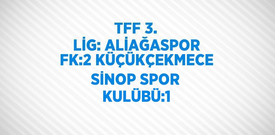 TFF 3. LİG: ALİAĞASPOR FK:2 KÜÇÜKÇEKMECE SİNOP SPOR KULÜBÜ:1