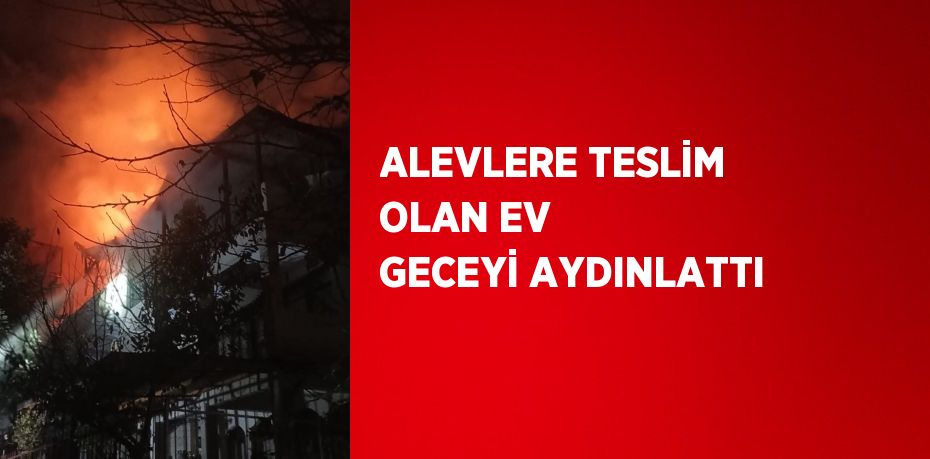 ALEVLERE TESLİM OLAN EV GECEYİ AYDINLATTI