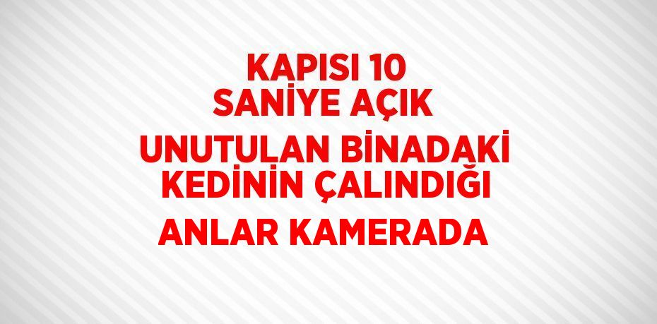 KAPISI 10 SANİYE AÇIK UNUTULAN BİNADAKİ KEDİNİN ÇALINDIĞI ANLAR KAMERADA