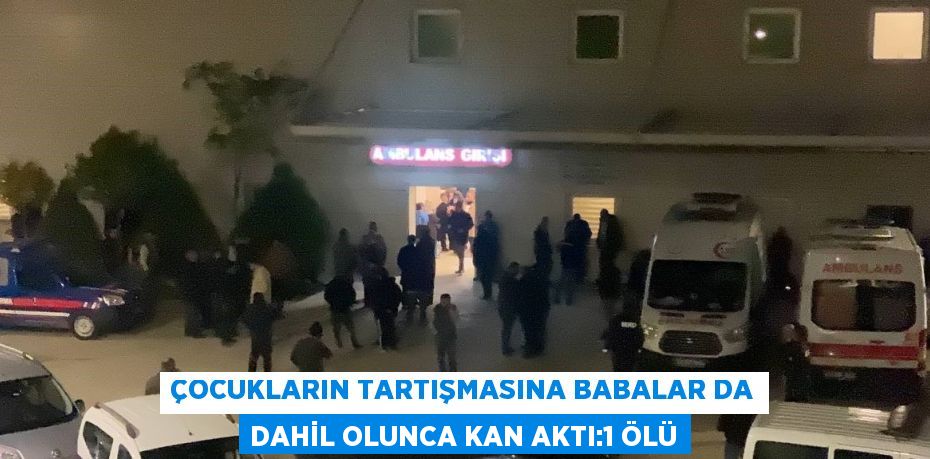 ÇOCUKLARIN TARTIŞMASINA BABALAR DA DAHİL OLUNCA KAN AKTI:1 ÖLÜ