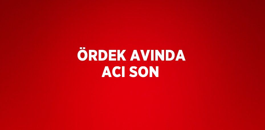 ÖRDEK AVINDA ACI SON