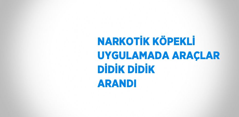 NARKOTİK KÖPEKLİ UYGULAMADA ARAÇLAR DİDİK DİDİK ARANDI