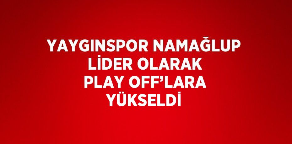 YAYGINSPOR NAMAĞLUP LİDER OLARAK PLAY OFF’LARA YÜKSELDİ