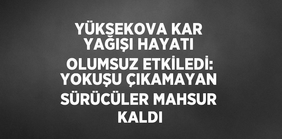 YÜKSEKOVA KAR YAĞIŞI HAYATI OLUMSUZ ETKİLEDİ: YOKUŞU ÇIKAMAYAN SÜRÜCÜLER MAHSUR KALDI