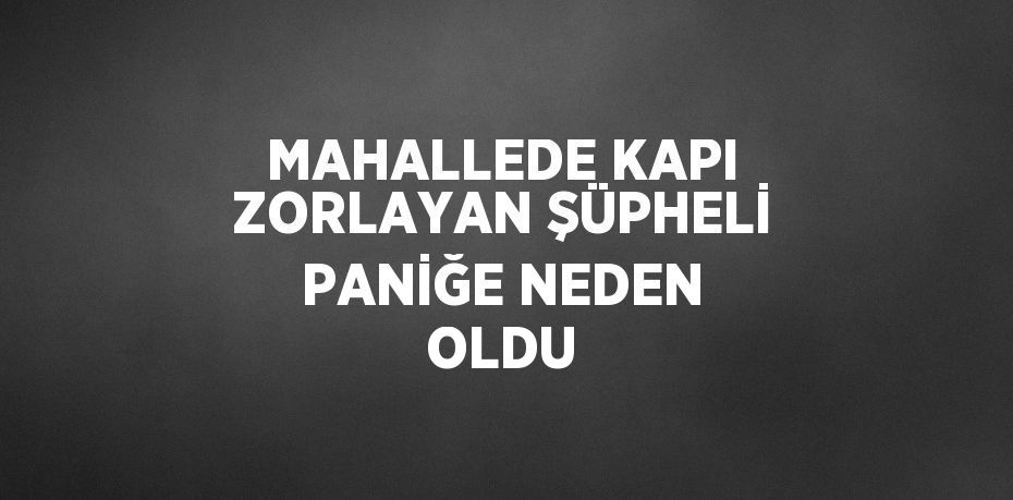 MAHALLEDE KAPI ZORLAYAN ŞÜPHELİ PANİĞE NEDEN OLDU