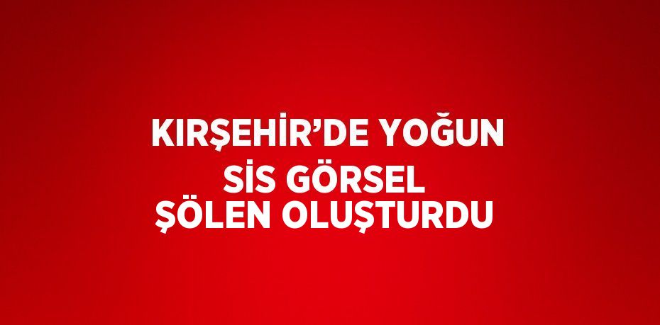 KIRŞEHİR’DE YOĞUN SİS GÖRSEL ŞÖLEN OLUŞTURDU