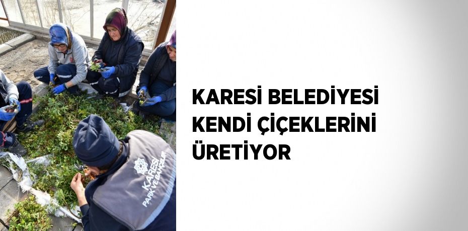 KARESİ BELEDİYESİ KENDİ ÇİÇEKLERİNİ ÜRETİYOR