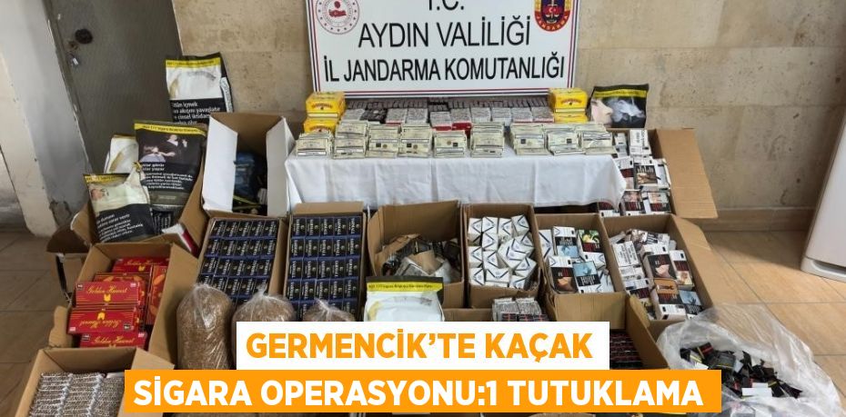 GERMENCİK’TE KAÇAK SİGARA OPERASYONU:1 TUTUKLAMA