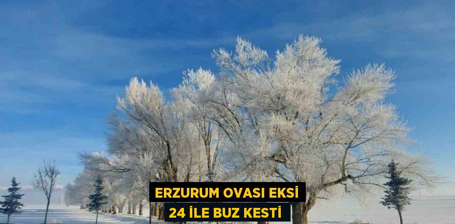 ERZURUM OVASI EKSİ 24 İLE BUZ KESTİ