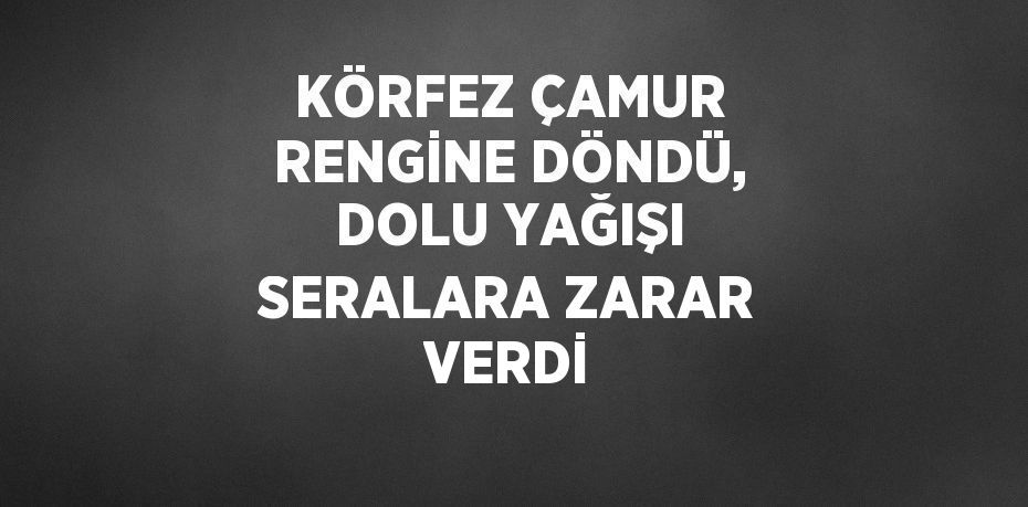 KÖRFEZ ÇAMUR RENGİNE DÖNDÜ, DOLU YAĞIŞI SERALARA ZARAR VERDİ