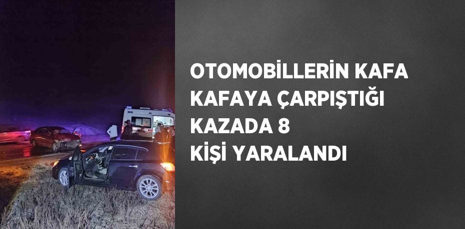 OTOMOBİLLERİN KAFA KAFAYA ÇARPIŞTIĞI KAZADA 8 KİŞİ YARALANDI