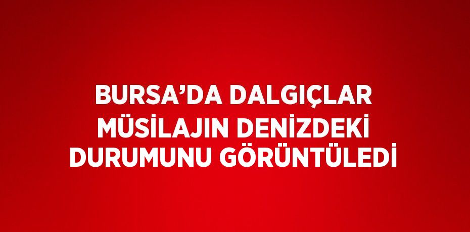 BURSA’DA DALGIÇLAR MÜSİLAJIN DENİZDEKİ DURUMUNU GÖRÜNTÜLEDİ