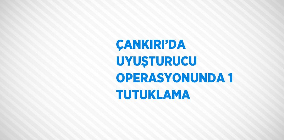 ÇANKIRI’DA UYUŞTURUCU OPERASYONUNDA 1 TUTUKLAMA