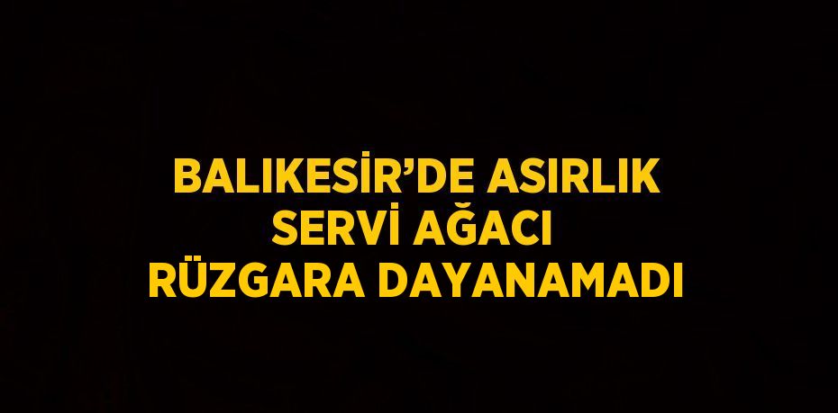 BALIKESİR’DE ASIRLIK SERVİ AĞACI RÜZGARA DAYANAMADI