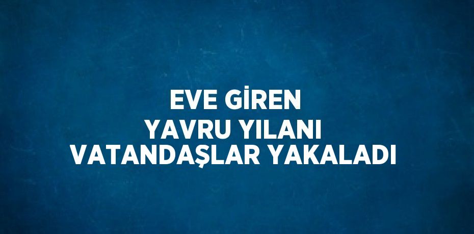 EVE GİREN YAVRU YILANI VATANDAŞLAR YAKALADI