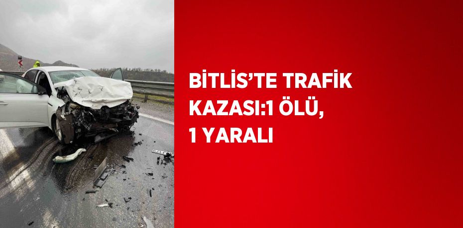 BİTLİS’TE TRAFİK KAZASI:1 ÖLÜ, 1 YARALI