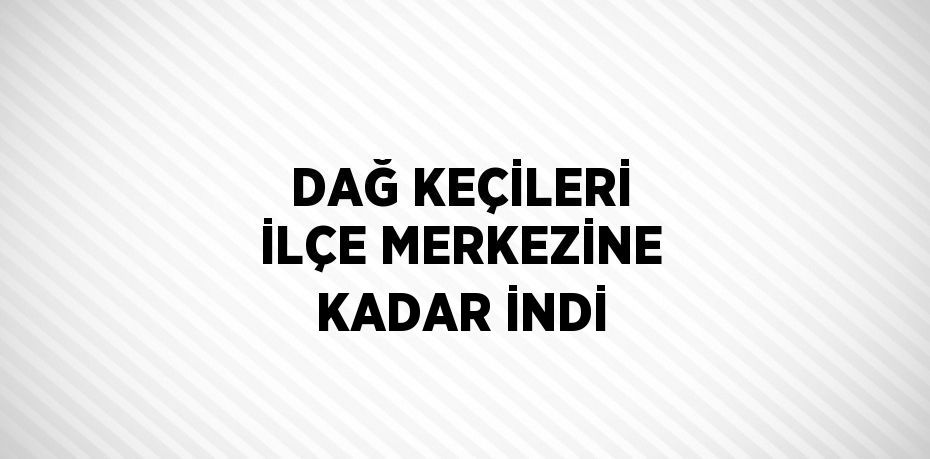 DAĞ KEÇİLERİ İLÇE MERKEZİNE KADAR İNDİ