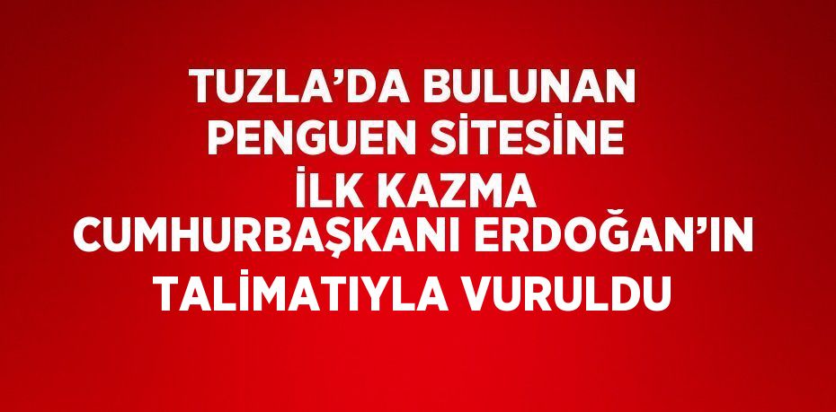 TUZLA’DA BULUNAN PENGUEN SİTESİNE İLK KAZMA CUMHURBAŞKANI ERDOĞAN’IN TALİMATIYLA VURULDU